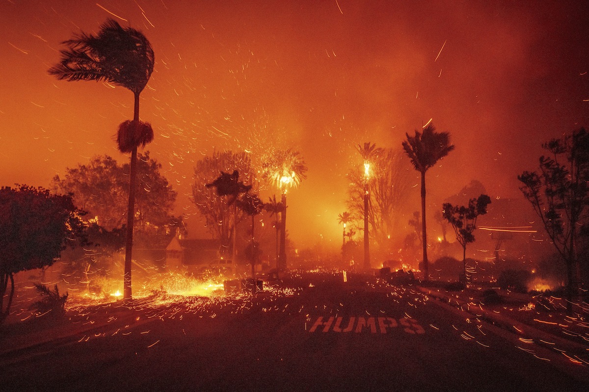 1-7-2025 Palisades Wildfire LA