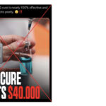 Image accompanying “New $40K AIDS cure is nearly 100% effective and requires two shots yearly.”