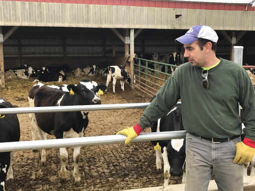 Wisconsin dairy pic