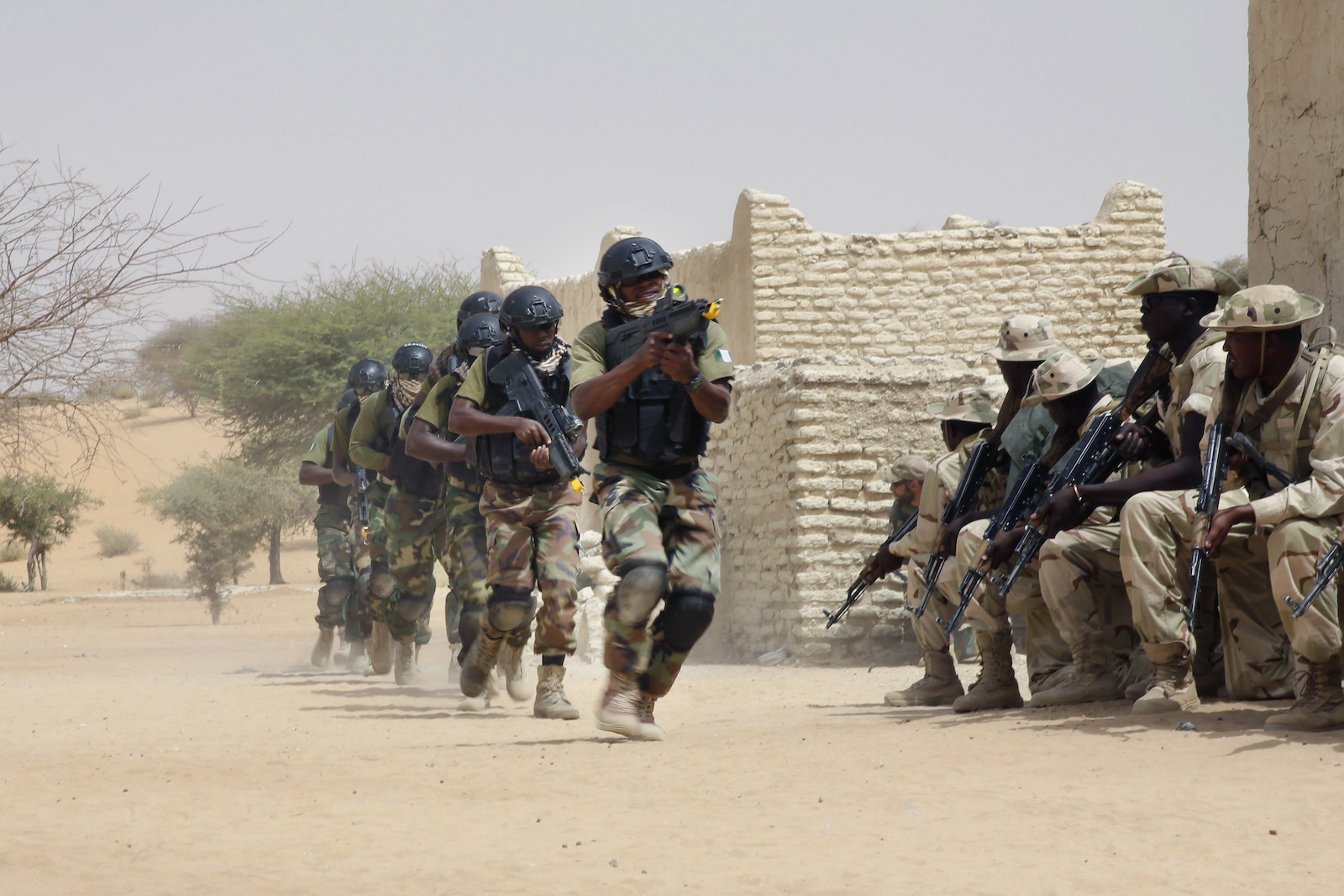 Niger Special Forces