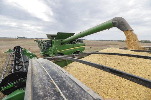 Soybeans