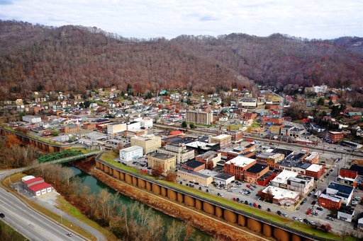 Williamson overview