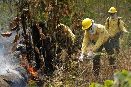 Amazon rainforest fire