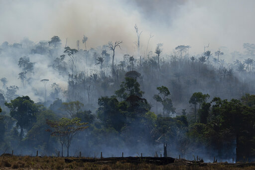 Amazon fires