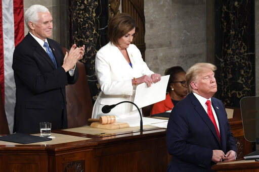 Pelosi SOTU rip art