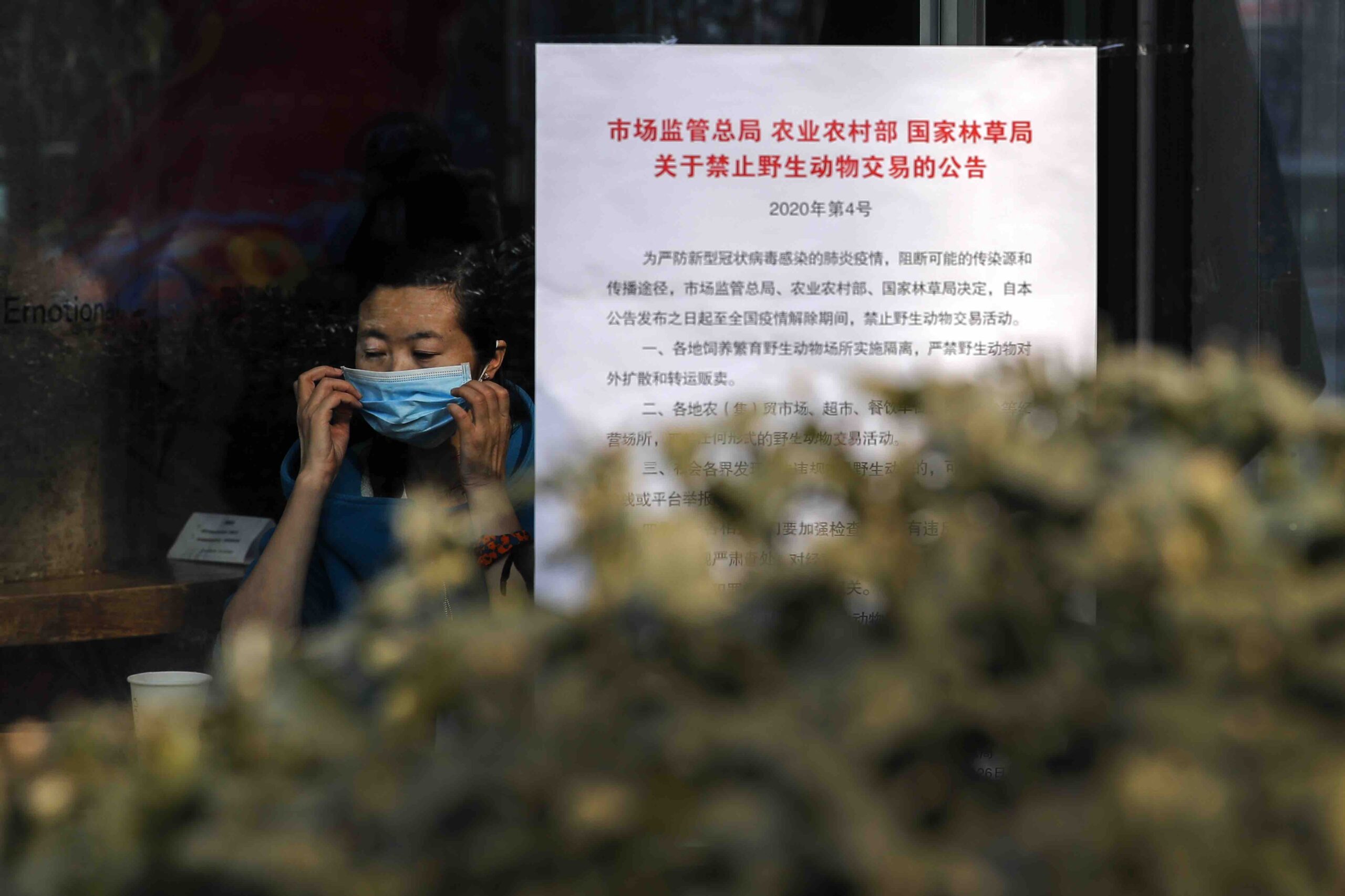 Coronavirus in Beijing