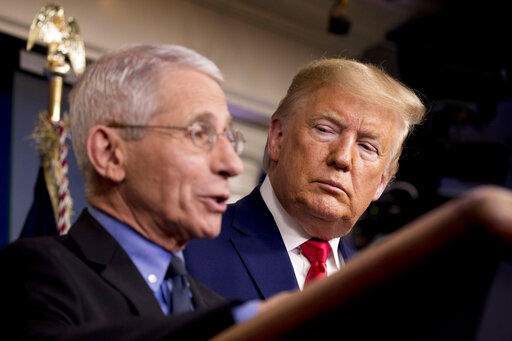 Fauci at briefing