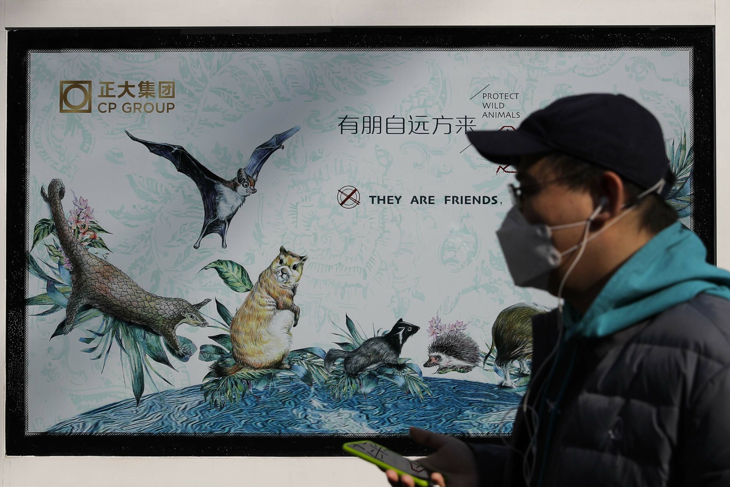 Coronavirus and animals