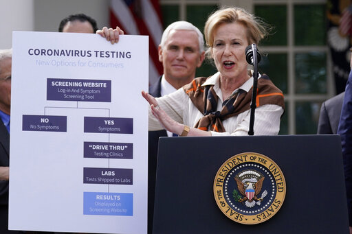 birx coronavirus website diagram