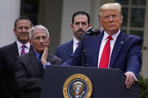 trump fauci art