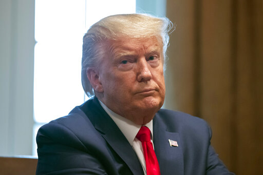 trump art coronavirus