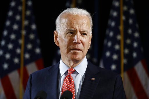Biden art