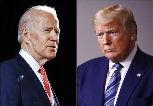 Trump and Biden pic