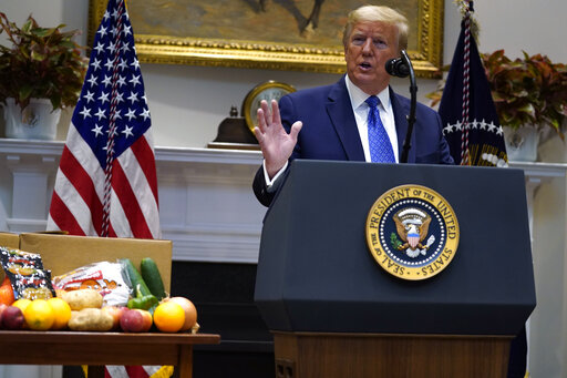 Donald Trump Weight