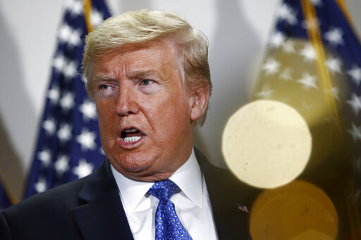 Trump IG art
