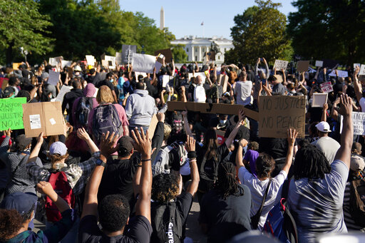 White House protests art