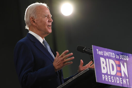 Biden art
