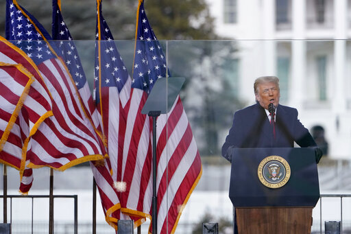 Trump Jan. 6, 2021 art