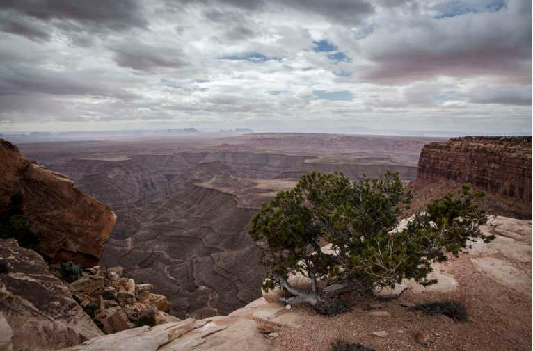 Bears Ears