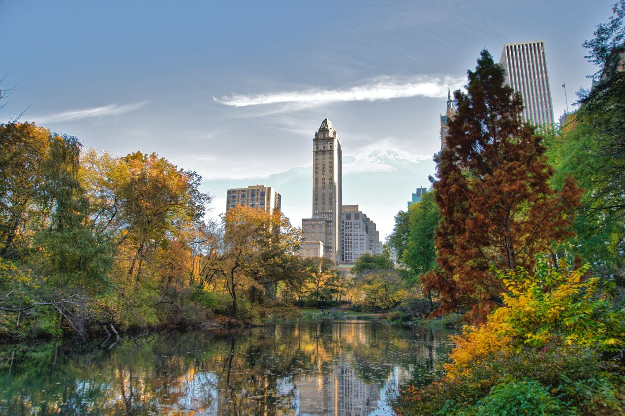 Central Park photo
