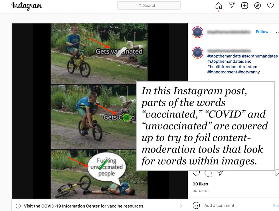Instagram post, image covering COVID-19 words including "covid," "vaccinated" and "unvaccinated"