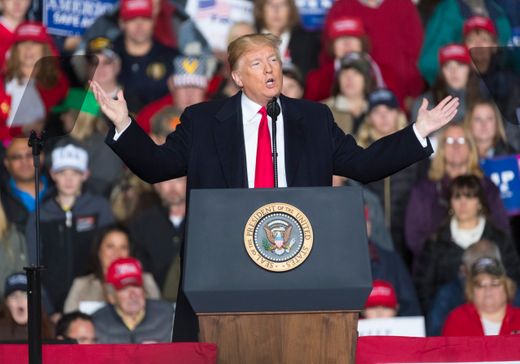 Trump Mosinee