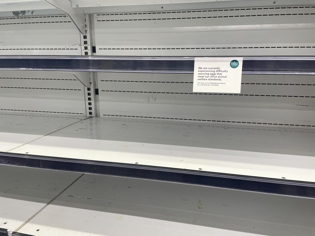 Empty shelves for eggs at Bethesda, Md., Whole Foods , 2-11-2025