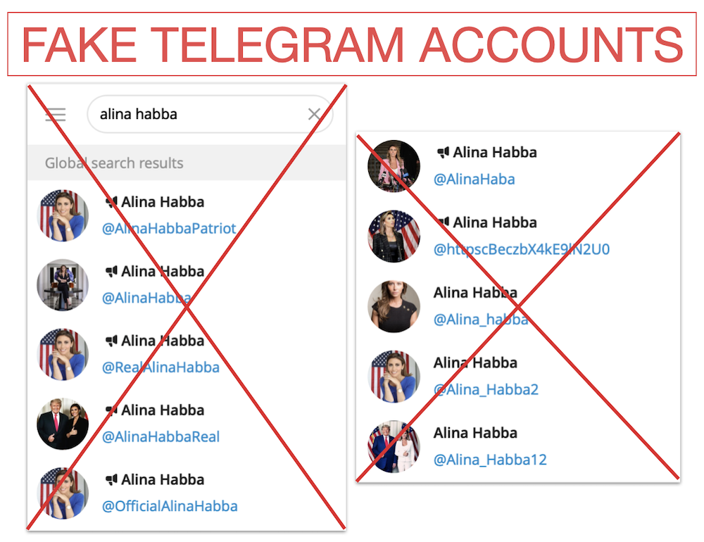 Graphic of fake Alina Habba Telegram accounts