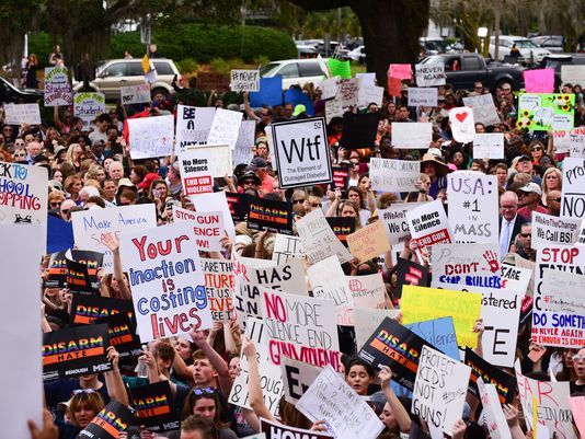 Gun protesters