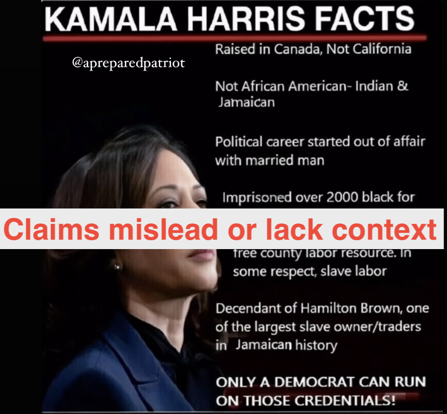 Kamala Harris "Facts" embed graphic, 7-23-2024