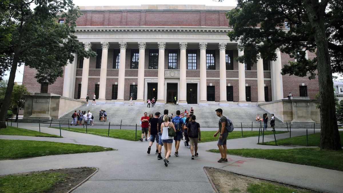 Harvard University art