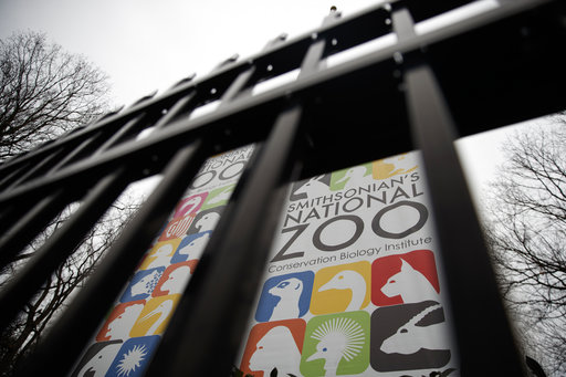 Zoo closed