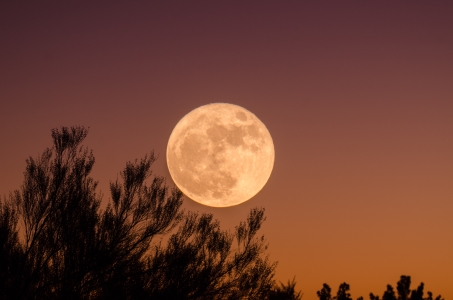 moon pic