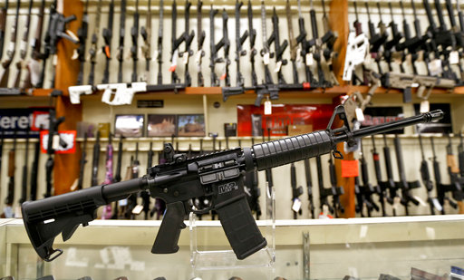 Smith adn Wesson 15 rifle