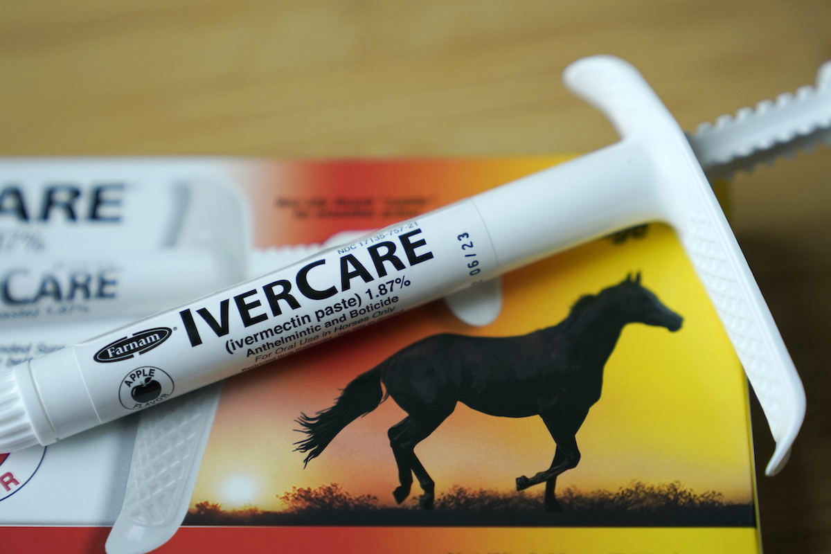 Syringe of ivermectin paste