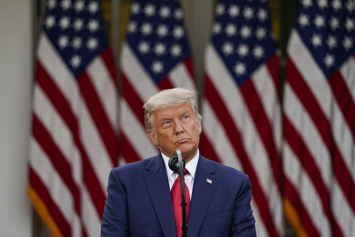 Trump art Nov. 13, 2020
