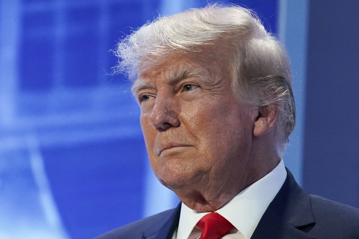 Trump for economy wrap