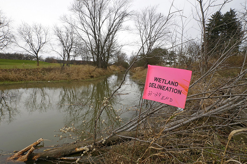 Walker Creek