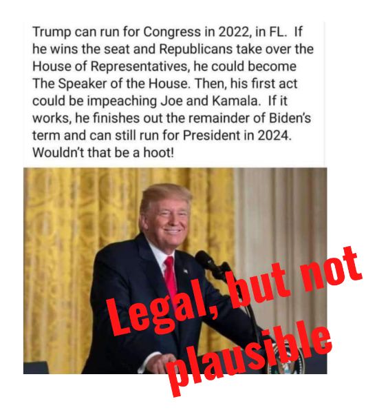 Weird Trump canva