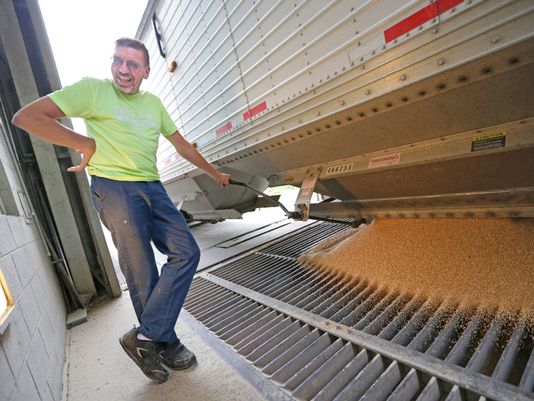 Wheat farmer