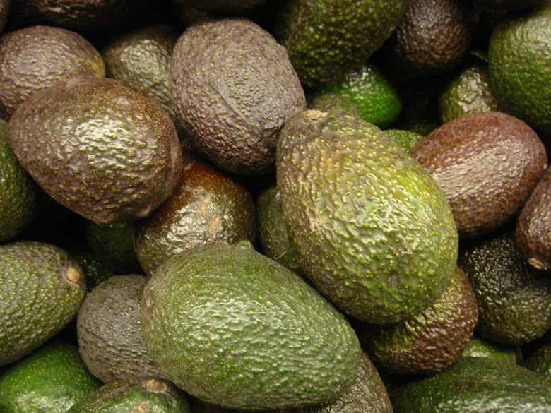 Avocados, generic