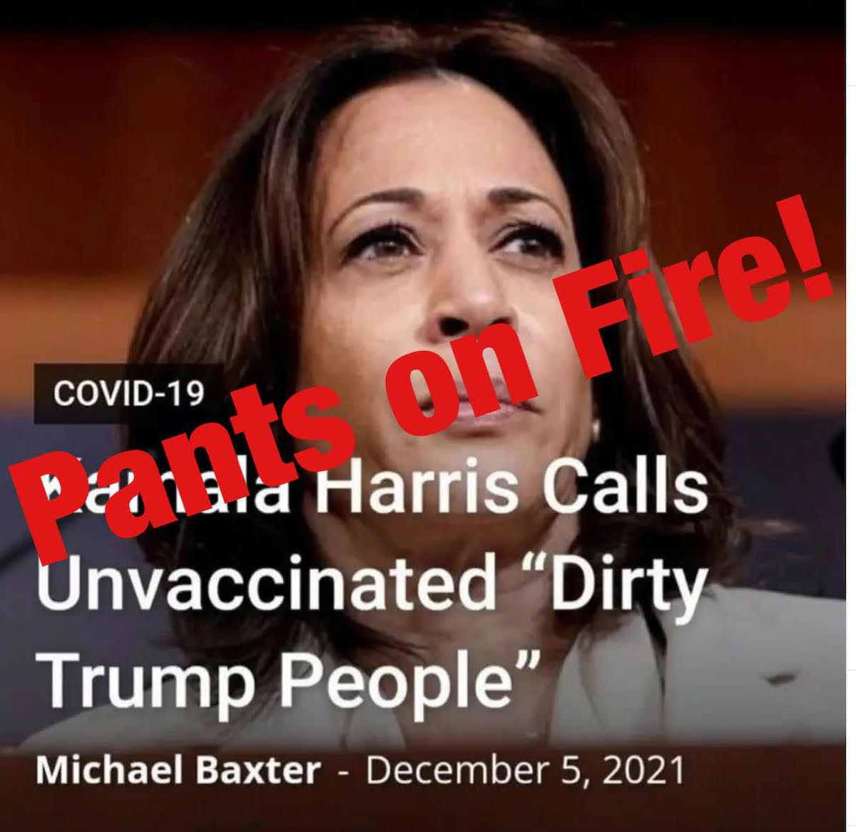 Kamala Harris fake quote about unvaccinated