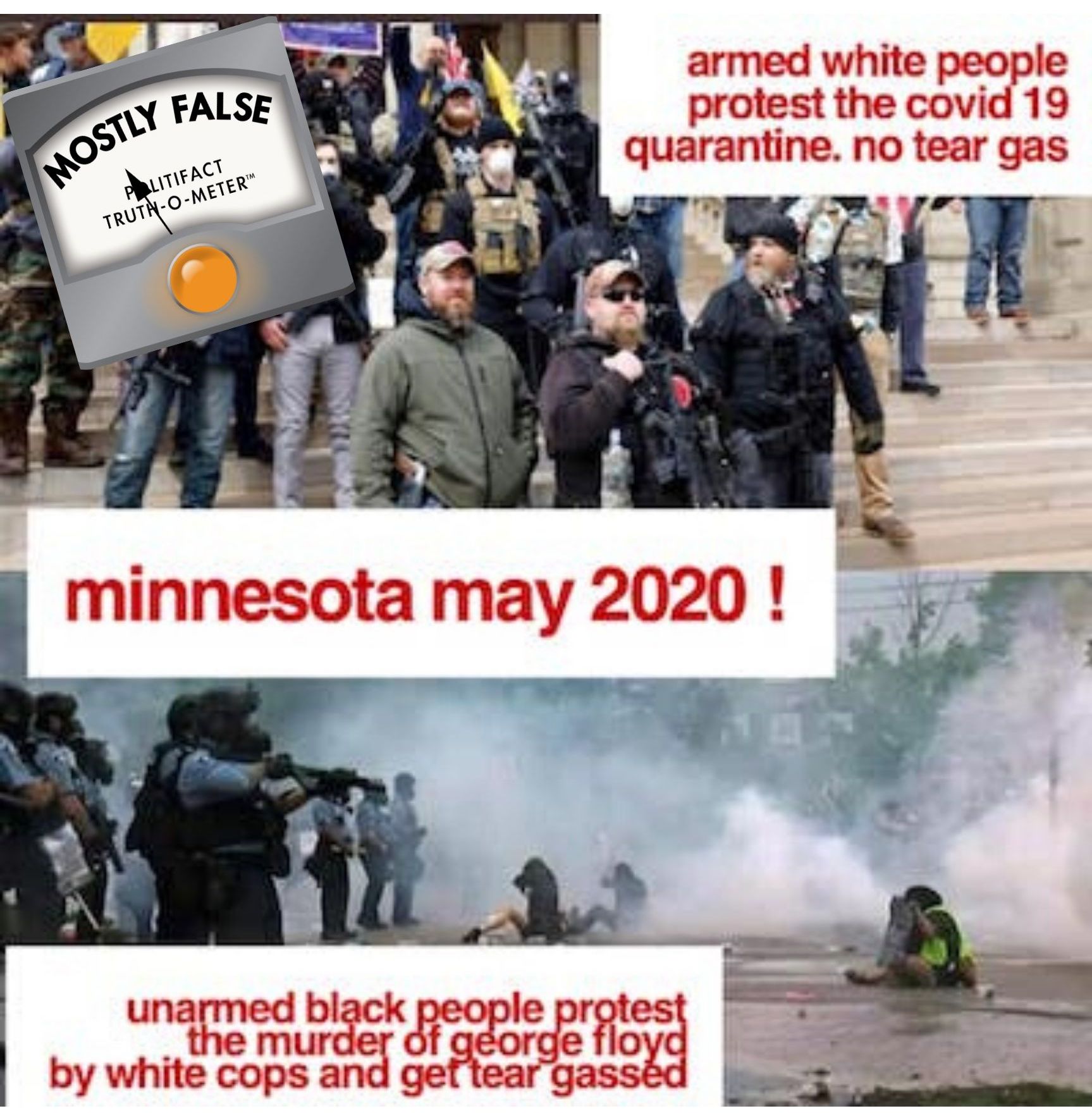 mn/mi protests