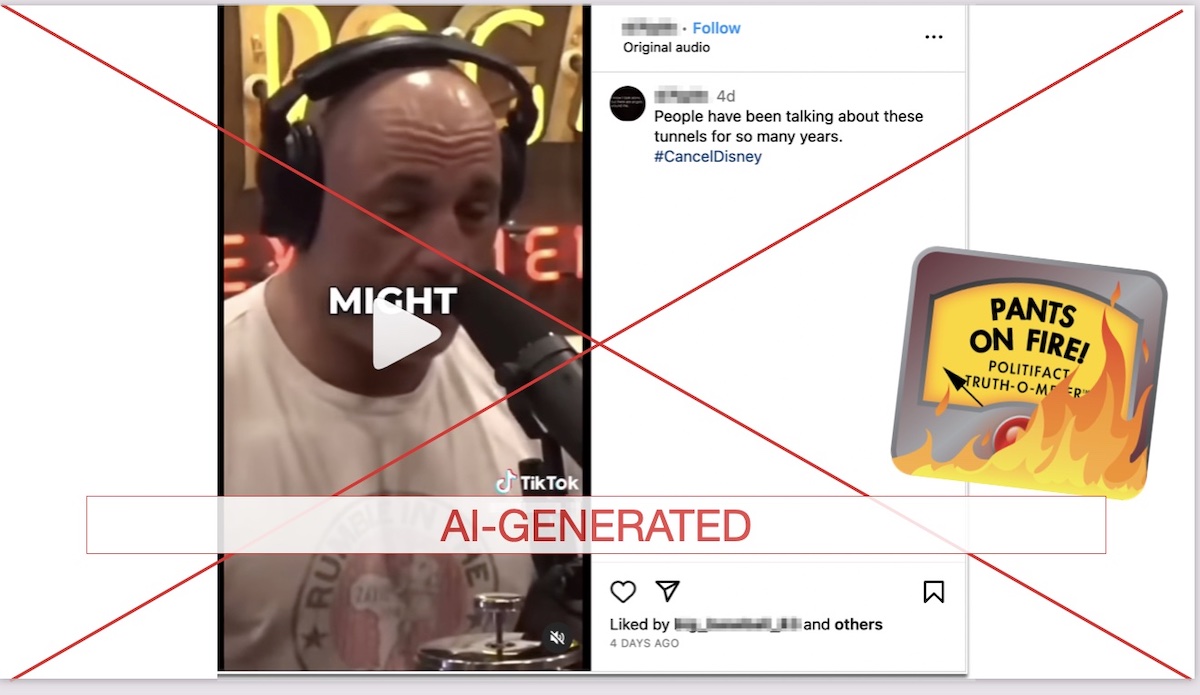 Rogan Disney screenshot