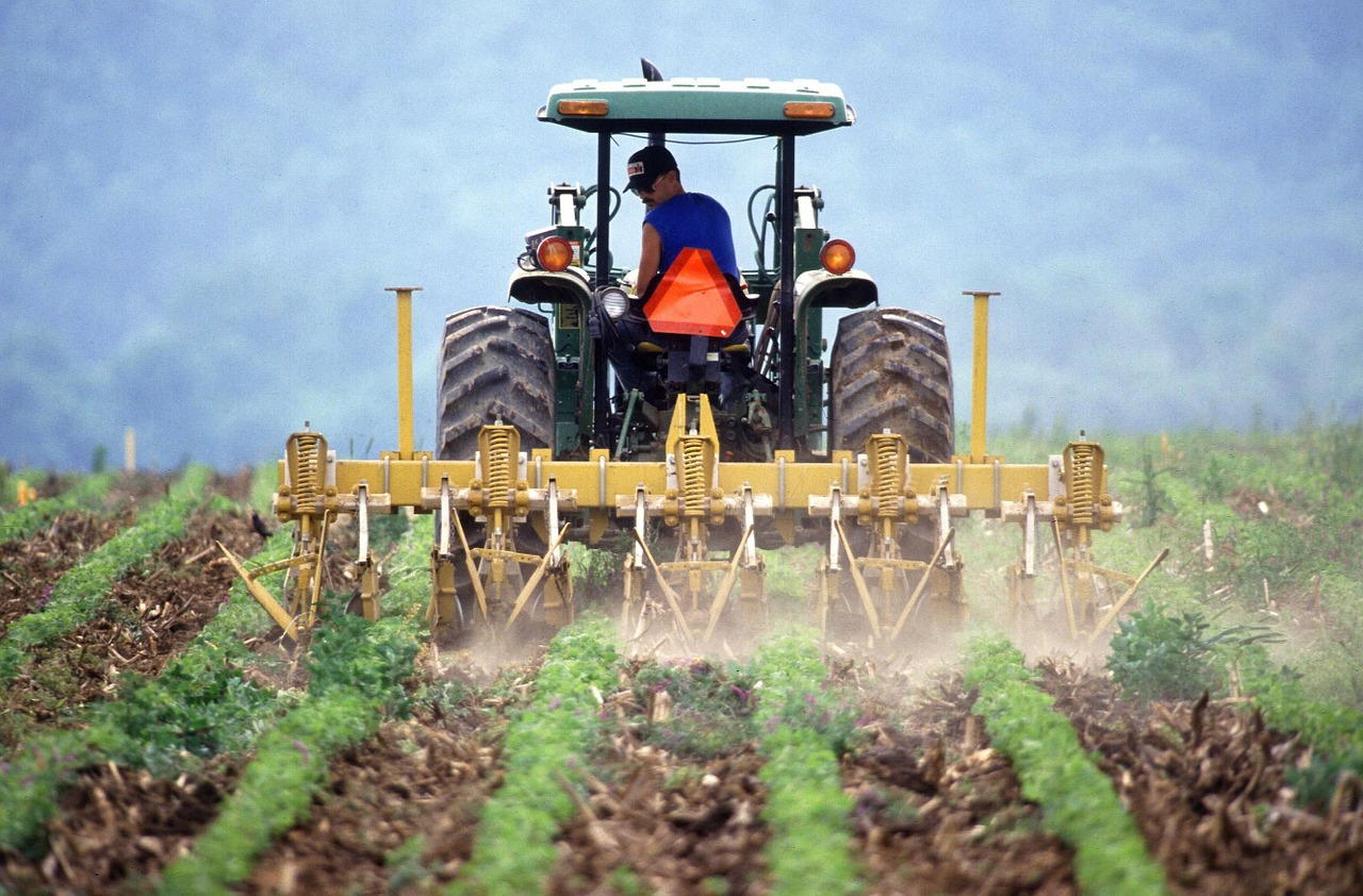 Farmer pic