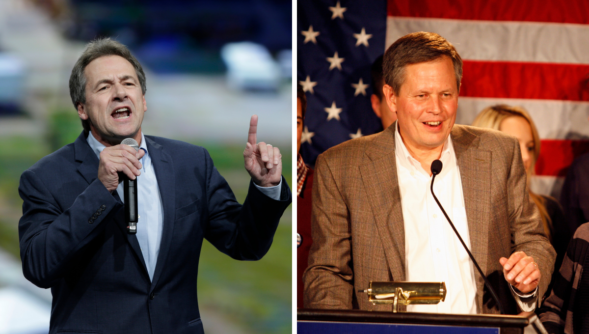 Montana senate race 2020 Daines Bullock