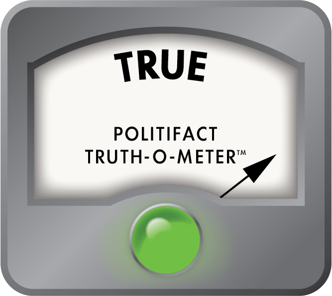 Headline True logo