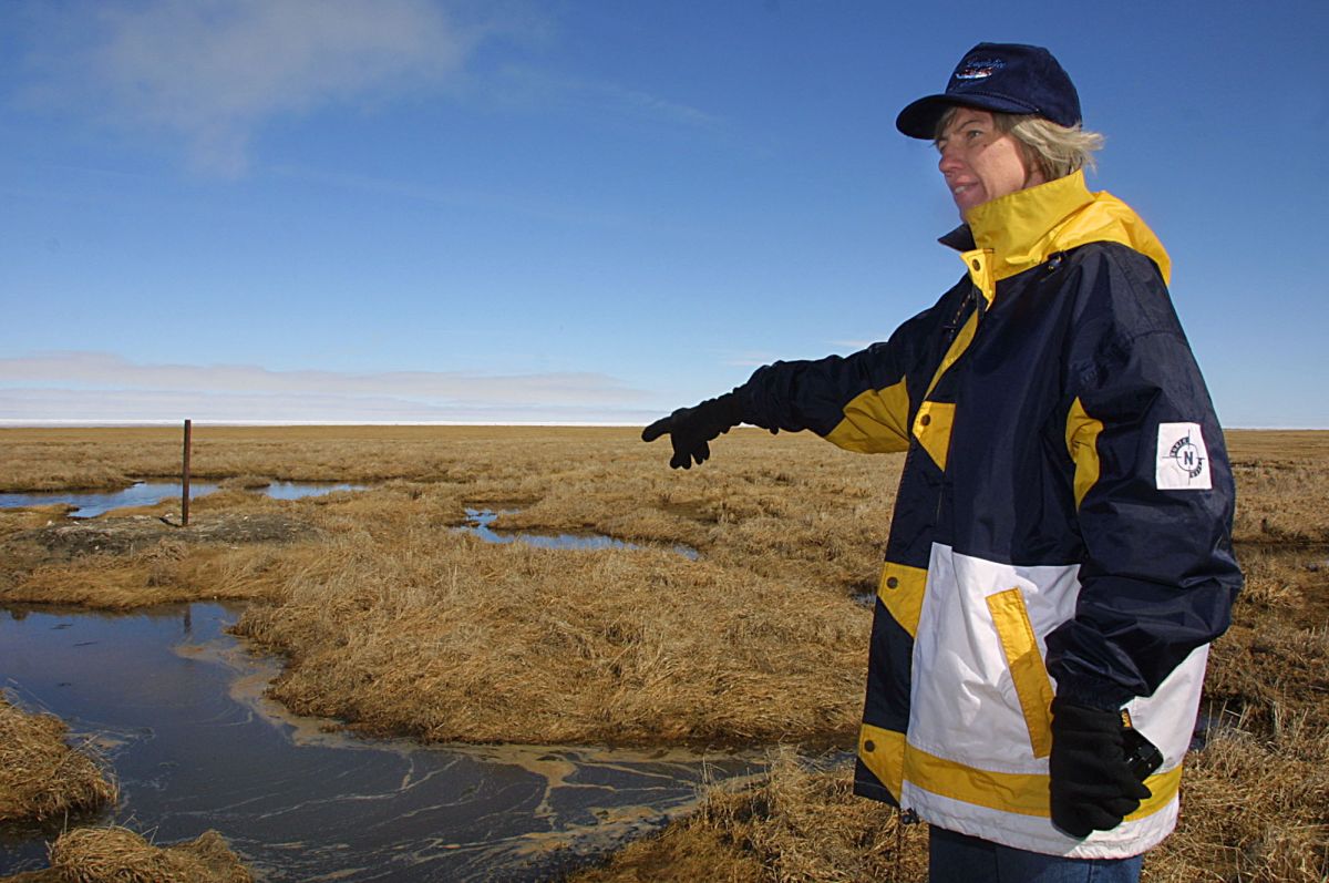 Photo arctic tundra