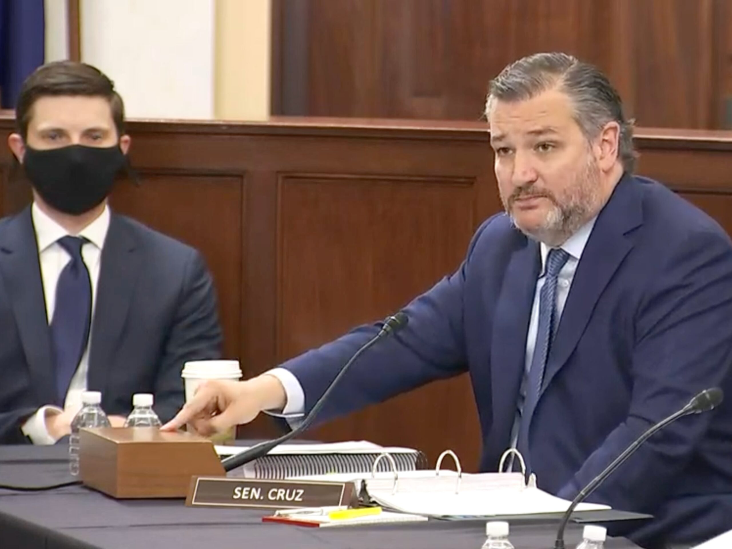 Cruz senate rules committee