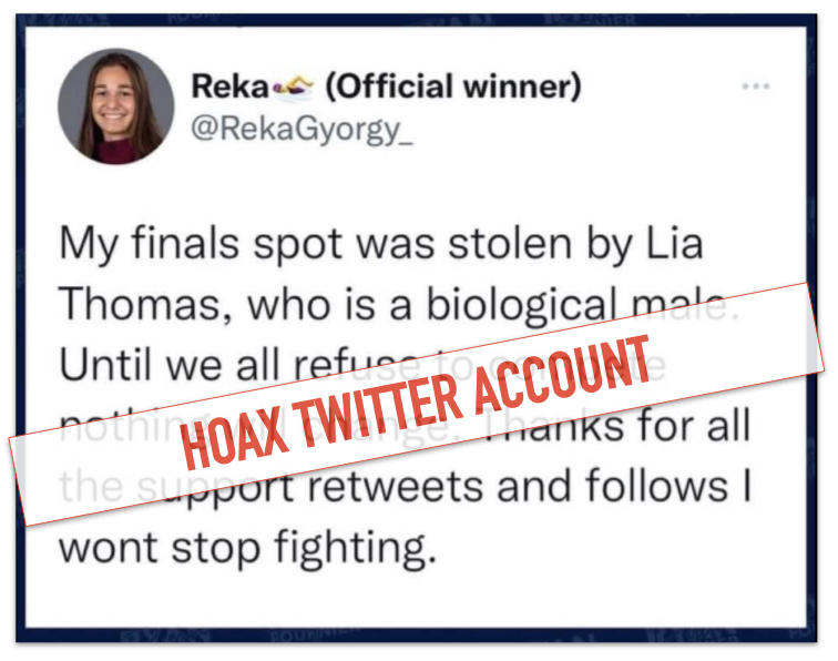 Reka Gyorgy fake tweet marked
